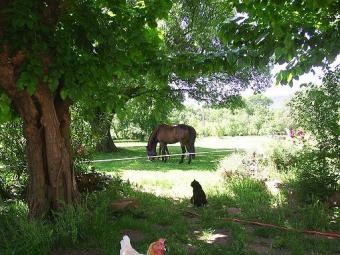 St Tropez 40 km Le Luc